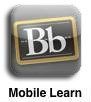 bbiPad_mobilelearn